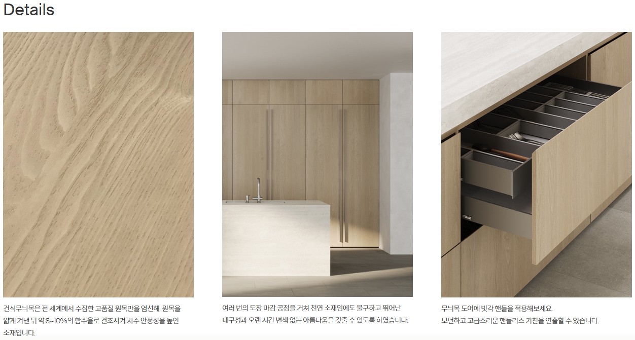 아델 마일드로체