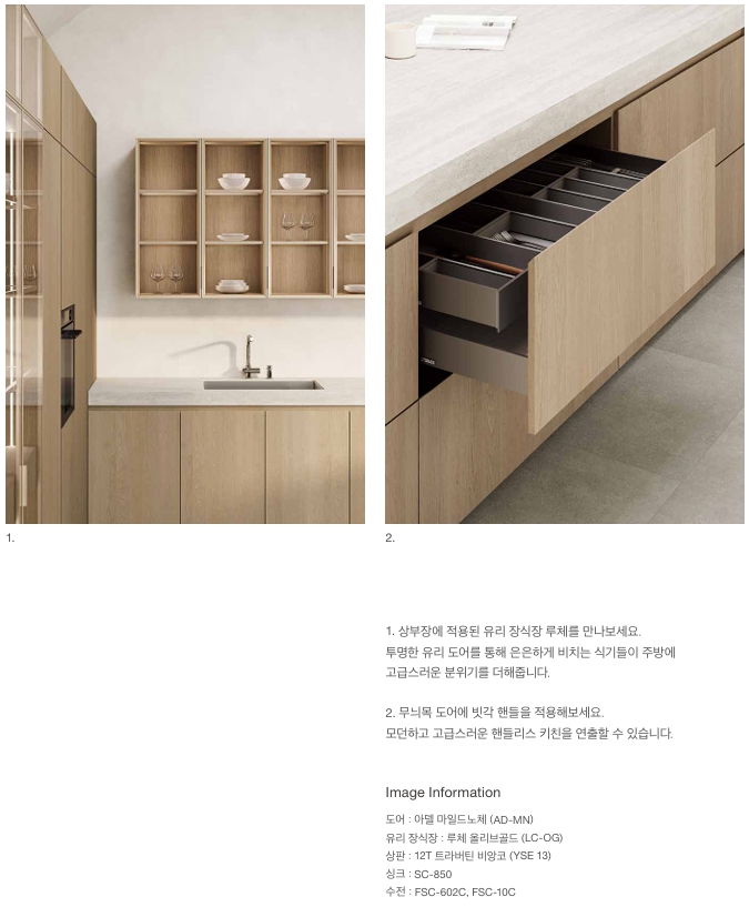 아델 마일드로체